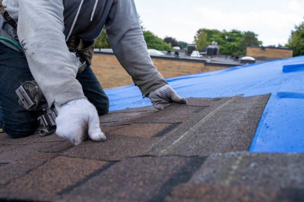 Best Metal Roofing Contractor  in Oakland, IA