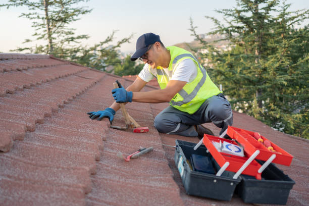 Best Affordable Roof Replacement  in Oakland, IA