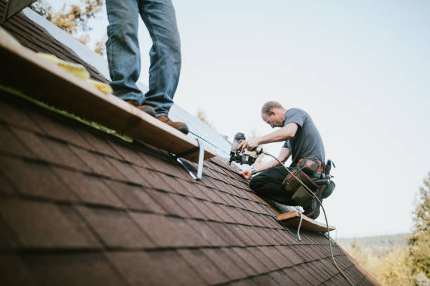 Best Roof Gutter Cleaning  in Oakland, IA